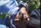 Молодой узбек ласкает дело своей девушки на природе и снимает это на камеру, Молодые, жаждущие, секса, узбеки пошли на природу чтобы насладиться друг другом и поласкаться. Парень достал камеру и стал снимать, то как он гладит и раздевает свою девушку. А красотка, уже очень возбужденная, только стонет и пытается ему что-то сказать., uzbum.su